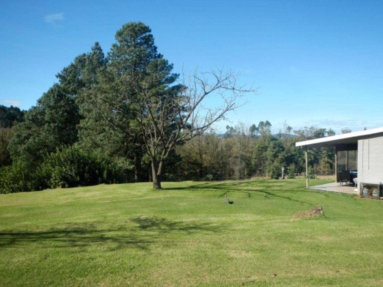 The Falls Cottages Howick Exterior photo